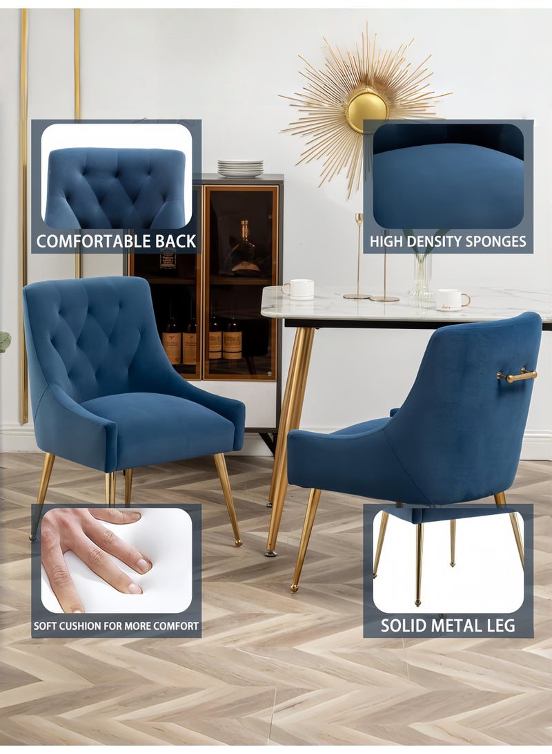 SEYNAR Dining Chair Set of 2,Modern Velvet Dining Chairs with Gold Legs,Elegant Tufted Accent Chairs for Reception, Living Room or Study Room - Image 5